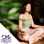 Introduction to Meditation and Mindfulness CPD online course