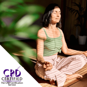 Introduction to Meditation and Mindfulness CPD online course