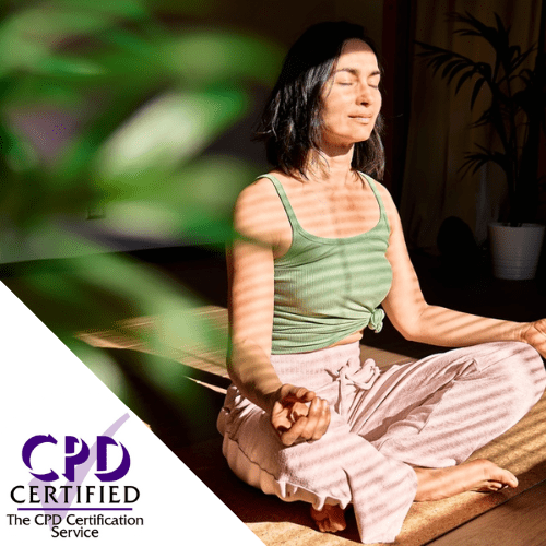Introduction to Meditation and Mindfulness CPD online course