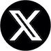 What is Scolionophobia? 8 X