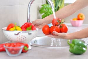 Food Safety Basics Ensuring Safe Preparation and Serving 